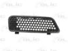 BLIC 6502-07-6038994P Radiator Grille